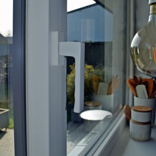 Ramen Deuren Pvc Aluminium Zwart Boechout 022