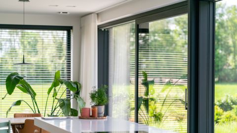 Voorpagina Od Najaar 2022