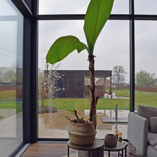 Aluminium Ramen Deuren Schuiframen Geel Ral9005 Zwarta