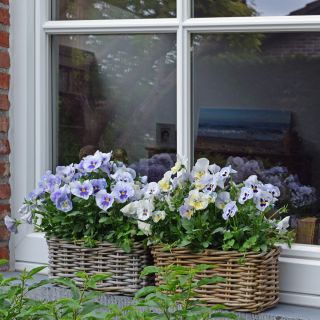 Finestra Ramen Pvc Wit In De Massa Finstral Kasterlee 03