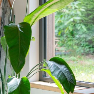 Finestra Ramen Nieuwbouw Aluminium Nijlen08