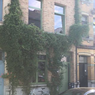 Finestra Ramen Vervangen Aluminium Antwerpen 02A